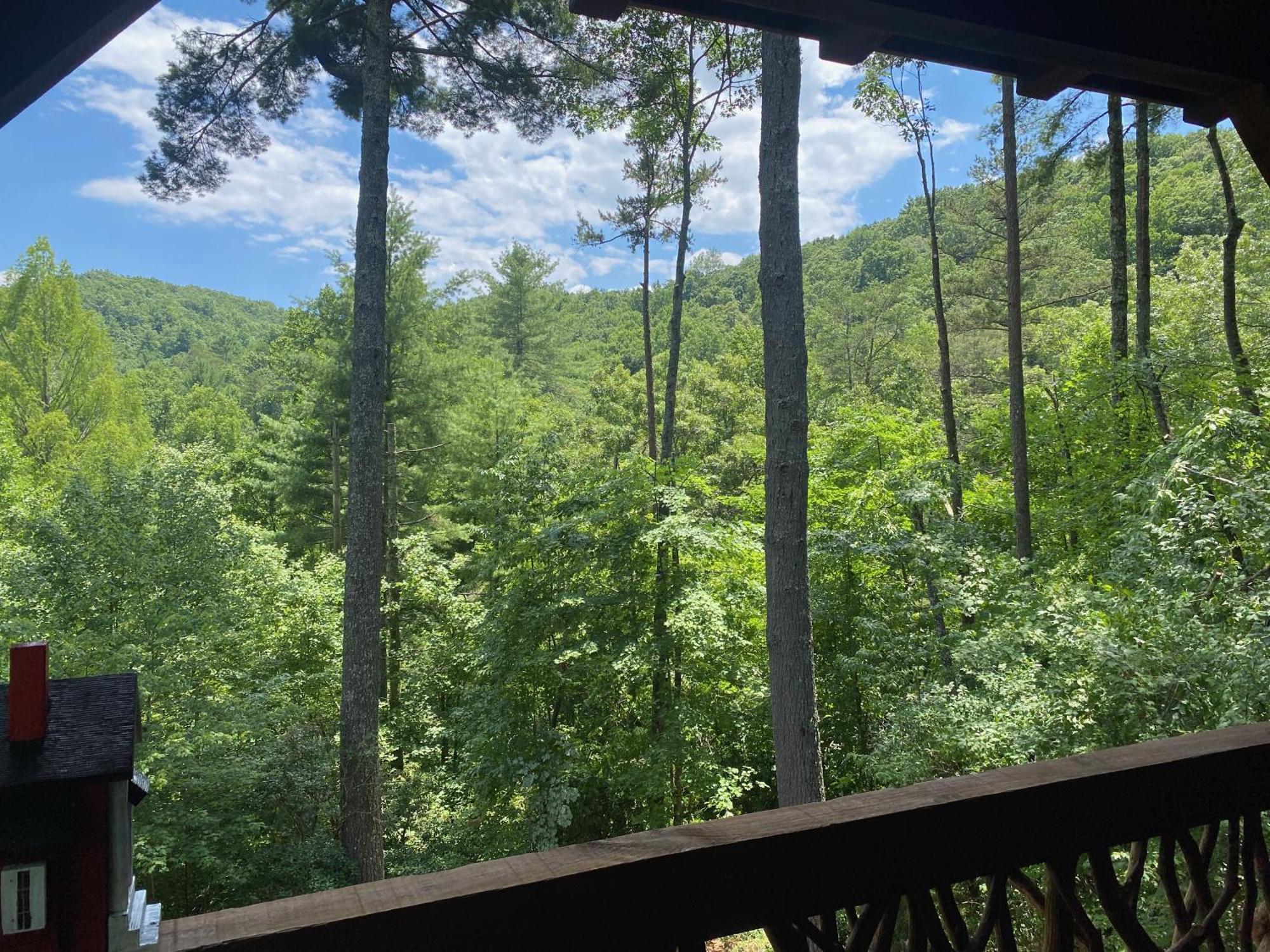 The Cozy Lazy Laurel With Year-Round Mountain Views, Hot Tub, Fire Pit Villa Cherry Log Bagian luar foto